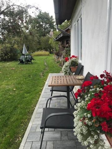 Casuta Sanatatii Hotel Covasna Exterior photo