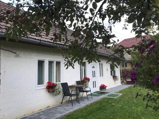 Casuta Sanatatii Hotel Covasna Exterior photo