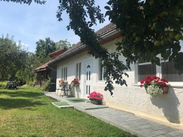 Casuta Sanatatii Hotel Covasna Exterior photo